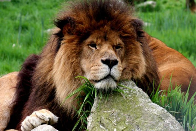 Greater Vancouver Zoo