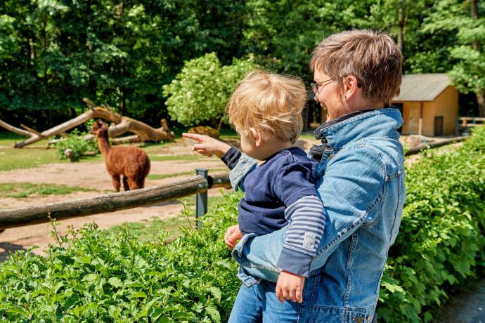 Tiergarten Nürnberg