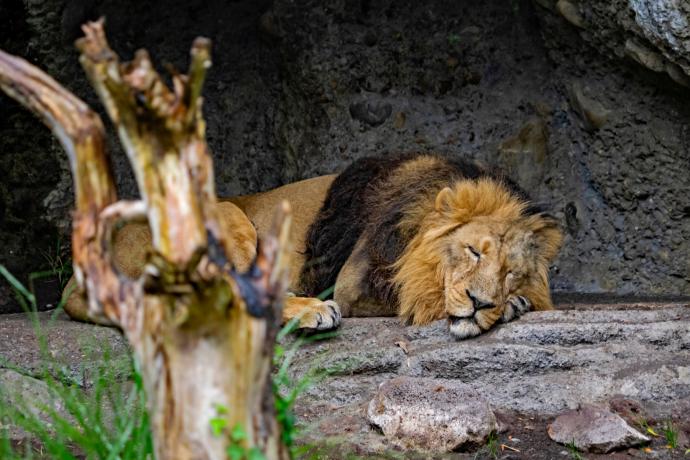 Zoo Duisburg