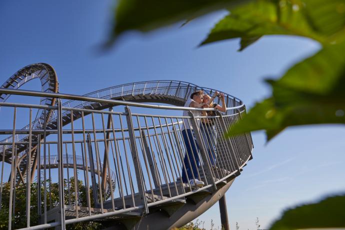 Tiger & Turtle - Magic Mountain