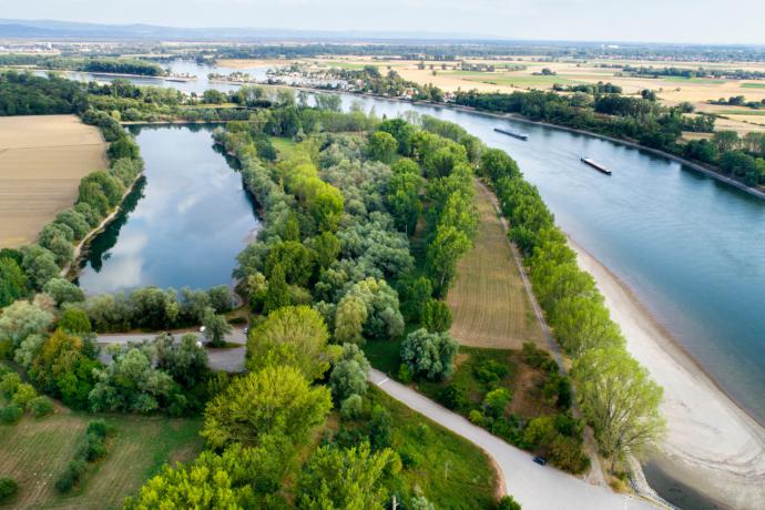 Rheinaue Friemersheim