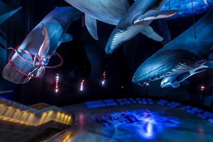 Het Ozeaneum