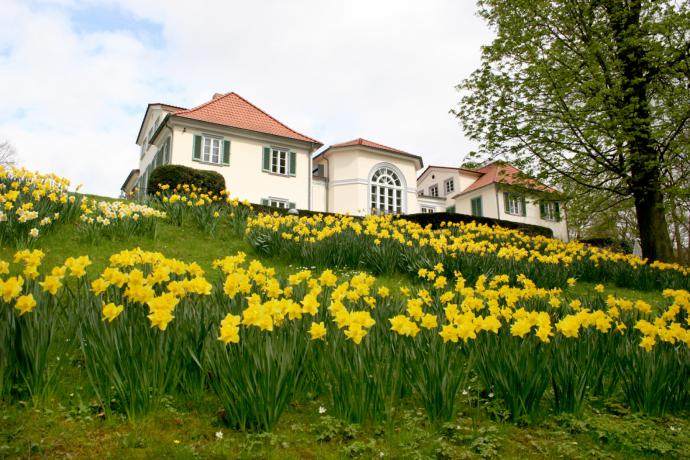 Park Schönfeld